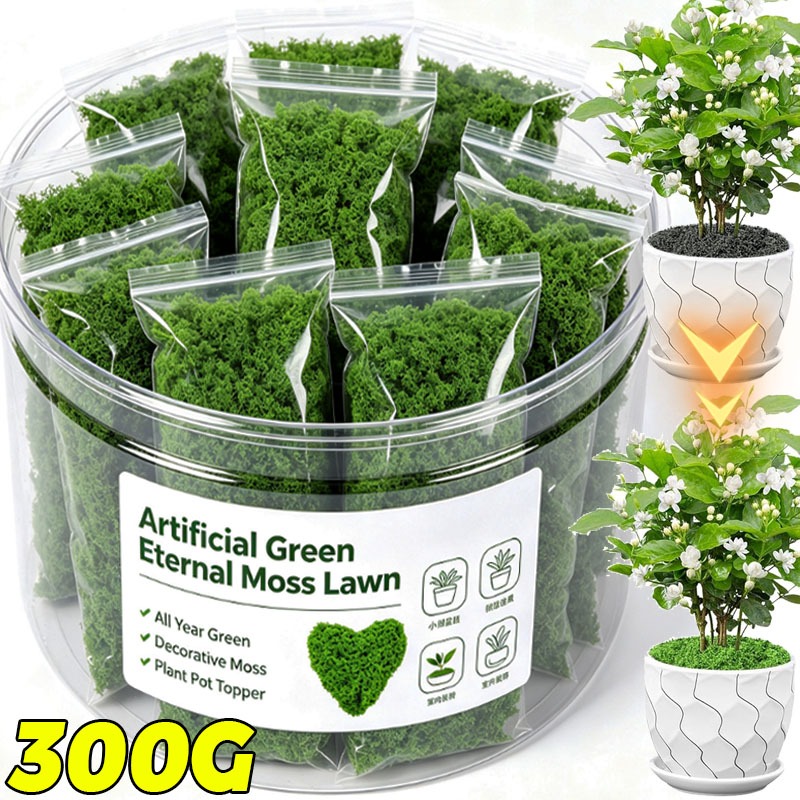 Terrarium Moss Art - Artificial Green Plants Eternal Life Moss
