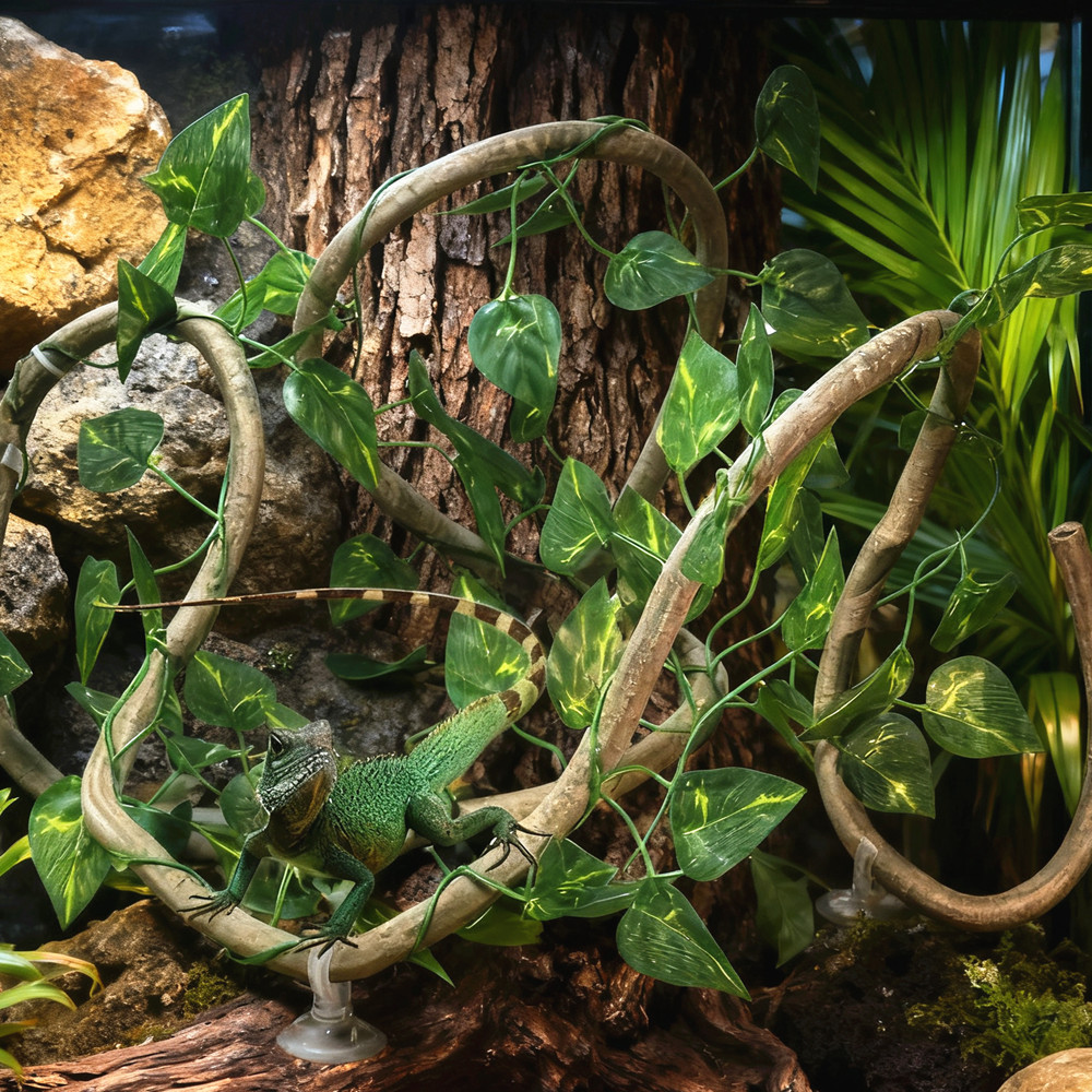 For Lizards Terrarium Tank Pet - огляд і ціна Terrarium Moss Art