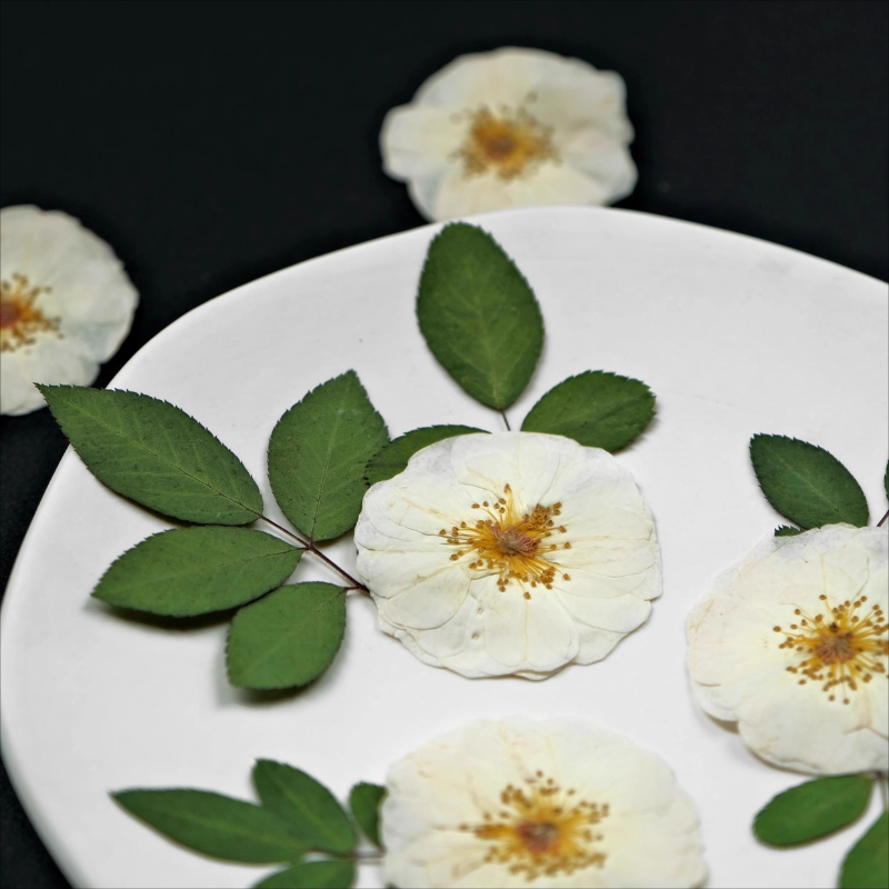 6pcs,9pcs,Nature White Rose Pr - огляд і ціна Dried Flower Bulk