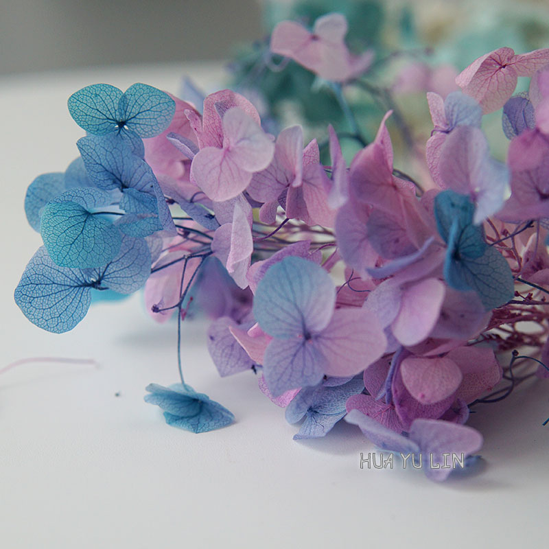 Ombre Gradient Dried Preserved - огляд і ціна Dried Flower Bulk