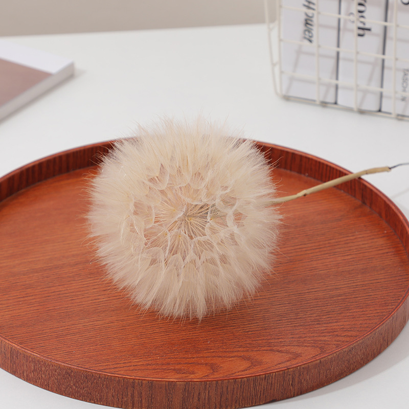 Preserved Dandelion DIY Epoxy  - огляд і ціна Resin Crafts