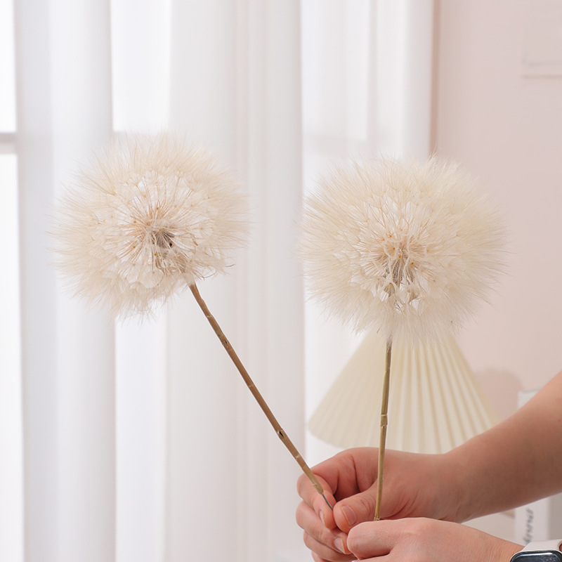 Preserved Dandelion DIY Epoxy  - огляд і ціна Resin Crafts