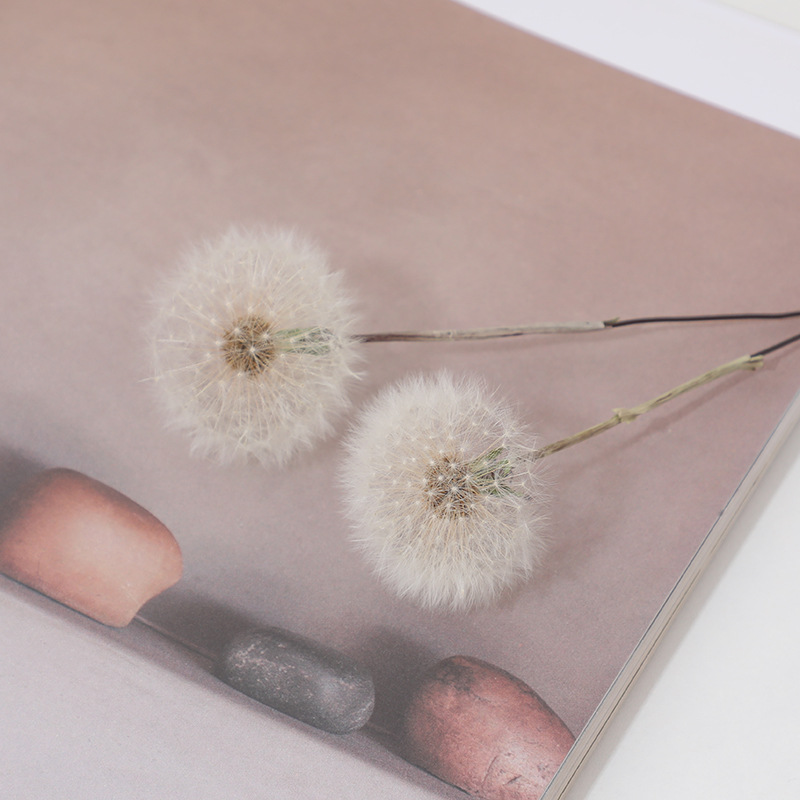 Preserved Dandelion DIY Epoxy  - огляд і ціна Resin Crafts